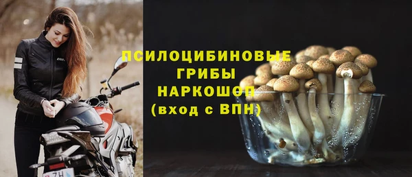индика Магас