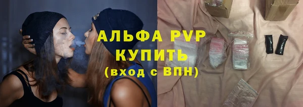 индика Магас