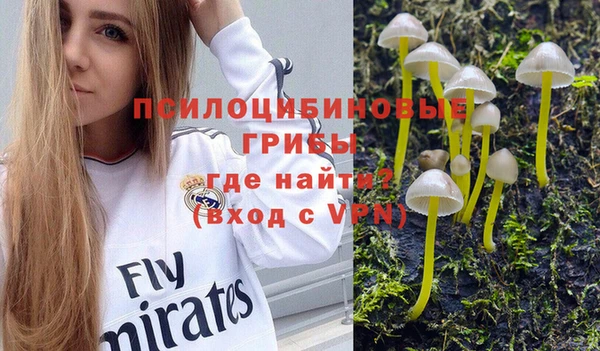 индика Магас