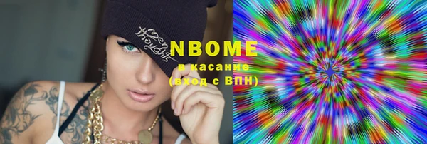 индика Магас