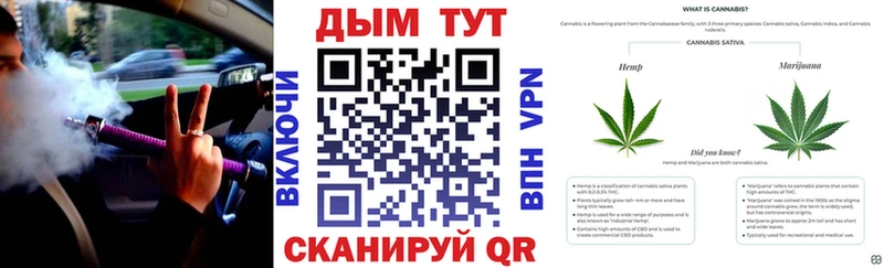 Купить закладки  Магас  Конопля Ganja 